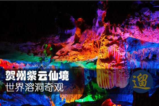 爱读熊分级阅读:点燃孩子智慧之火的阅读魔法书
