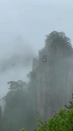 怎么应对亲人“逼”你传宗接代的话题？