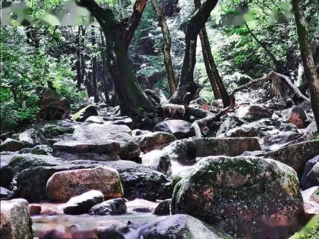 俄空天军突击队摧毁乌有生力量聚集点