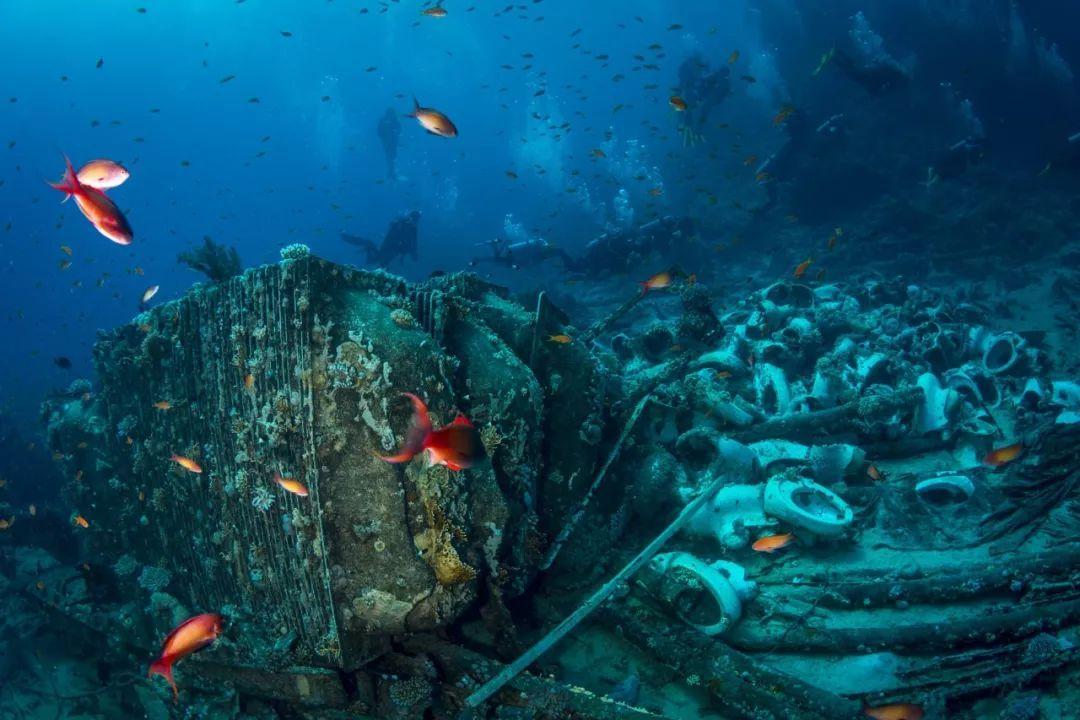 南京新百股东银丰生物质押股份3550万股 占总股本2.64%